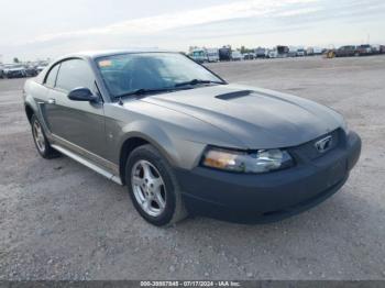  Salvage Ford Mustang