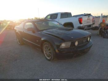  Salvage Ford Mustang