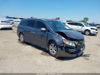  Salvage Honda Odyssey