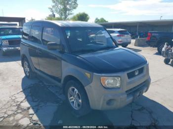  Salvage Honda Element