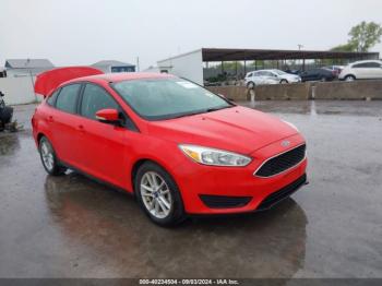  Salvage Ford Focus