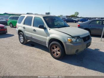  Salvage Ford Escape