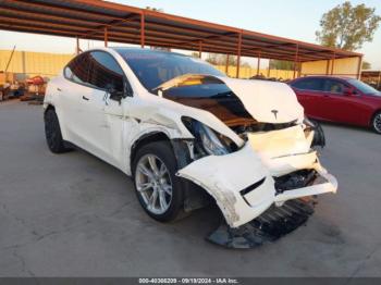  Salvage Tesla Model Y