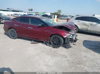  Salvage Nissan Maxima