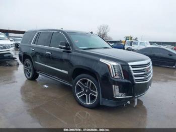  Salvage Cadillac Escalade