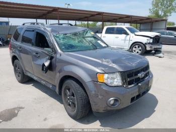  Salvage Ford Escape