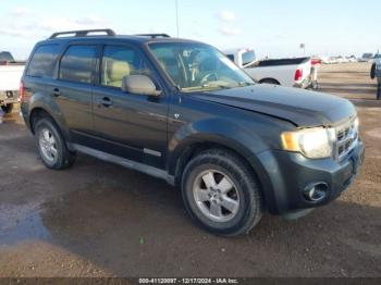  Salvage Ford Escape