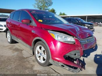  Salvage Ford Escape