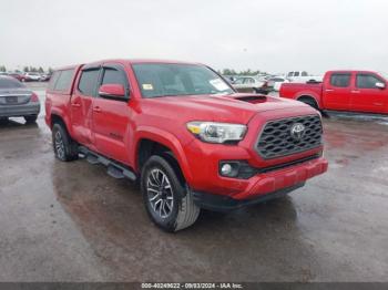  Salvage Toyota Tacoma