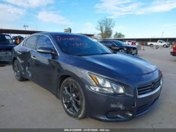  Salvage Nissan Maxima