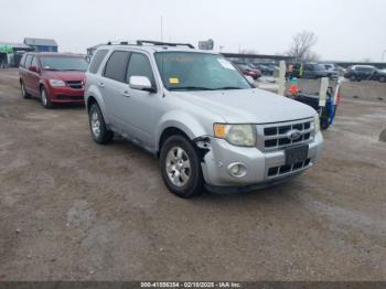  Salvage Ford Escape