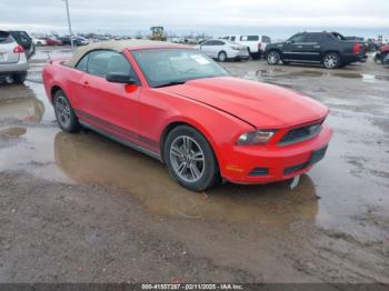  Salvage Ford Mustang