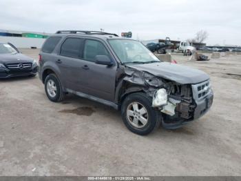  Salvage Ford Escape