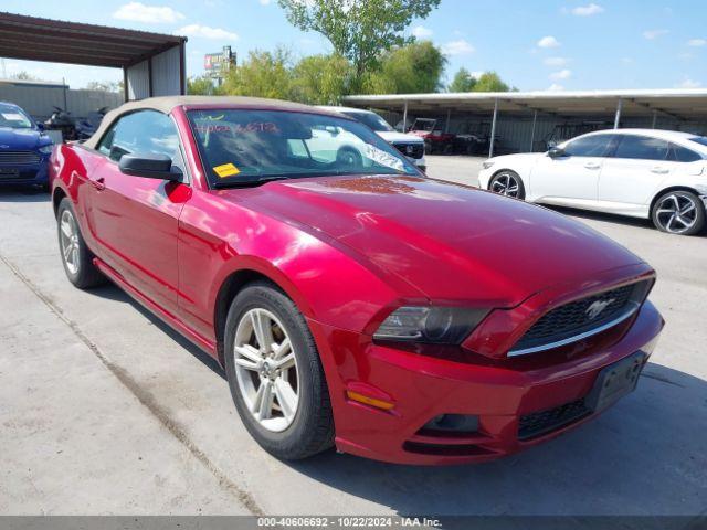  Salvage Ford Mustang