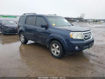  Salvage Honda Pilot