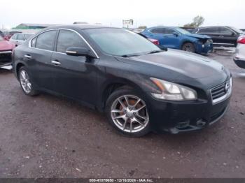  Salvage Nissan Maxima