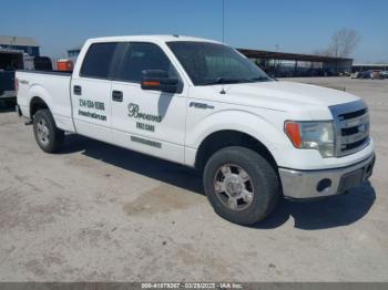  Salvage Ford F-150