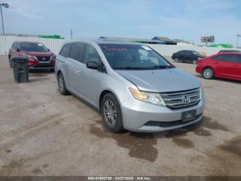  Salvage Honda Odyssey