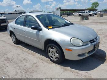  Salvage Dodge Neon