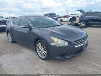  Salvage Nissan Maxima