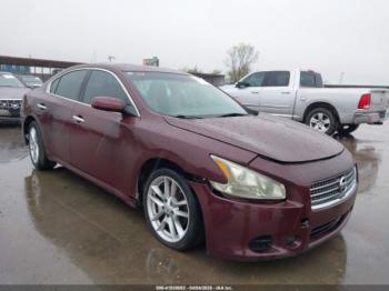  Salvage Nissan Maxima