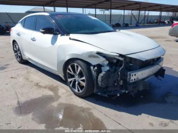  Salvage Nissan Maxima