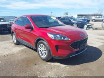  Salvage Ford Escape