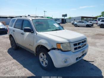  Salvage Ford Escape
