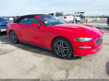  Salvage Ford Mustang