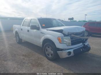  Salvage Ford F-150