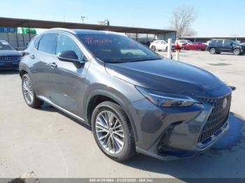  Salvage Lexus NX