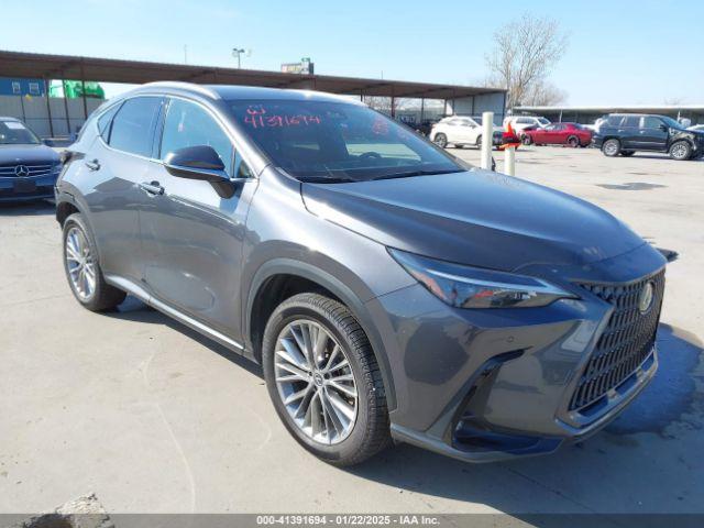  Salvage Lexus NX