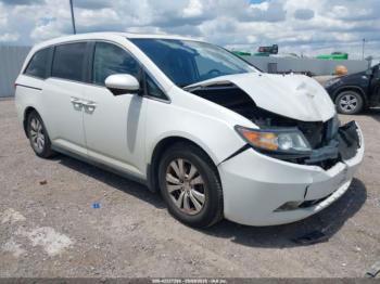  Salvage Honda Odyssey