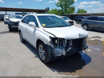 Salvage Lexus RX