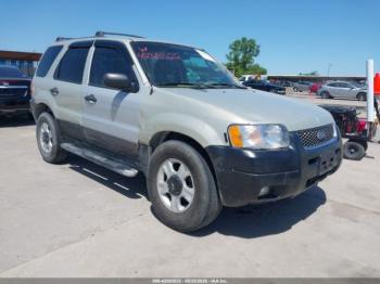  Salvage Ford Escape