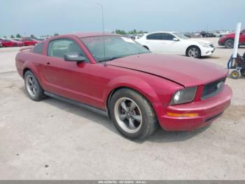 Salvage Ford Mustang