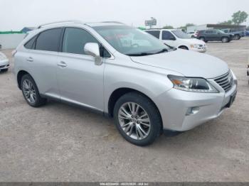  Salvage Lexus RX