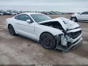  Salvage Ford Mustang