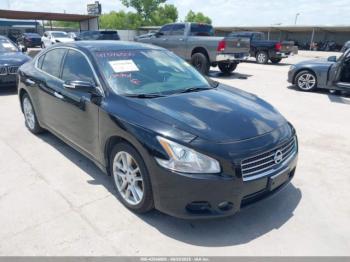  Salvage Nissan Maxima