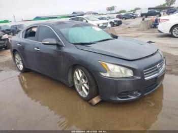  Salvage Nissan Maxima