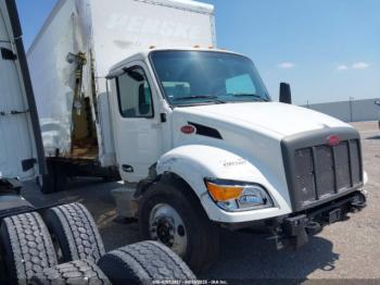  Salvage Peterbilt 536