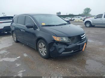  Salvage Honda Odyssey