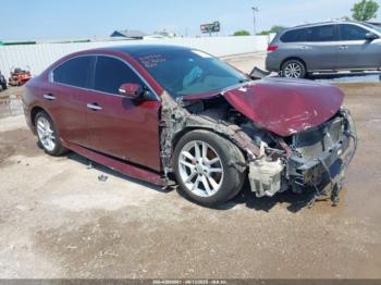  Salvage Nissan Maxima