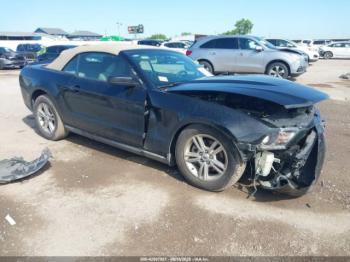  Salvage Ford Mustang