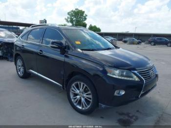  Salvage Lexus RX