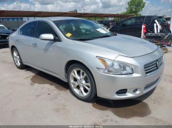  Salvage Nissan Maxima
