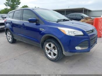  Salvage Ford Escape
