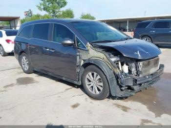  Salvage Honda Odyssey
