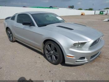  Salvage Ford Mustang
