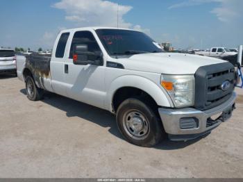  Salvage Ford F-250